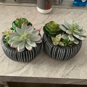 Fake succulent potted plants!